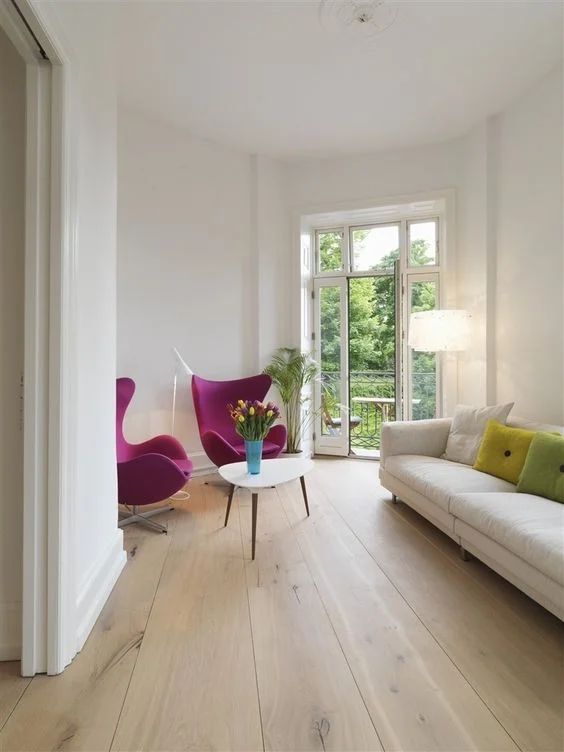 פרקט למנציה פרמיום